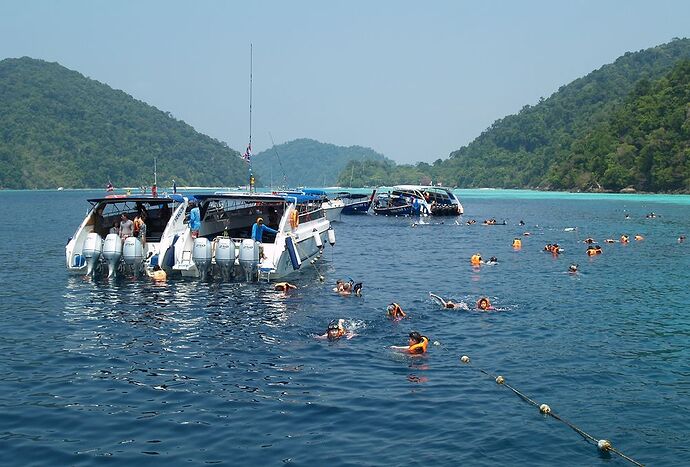 Re: Iles Surin ou Similan - almape Re: Iles Surin ou Similan - almape