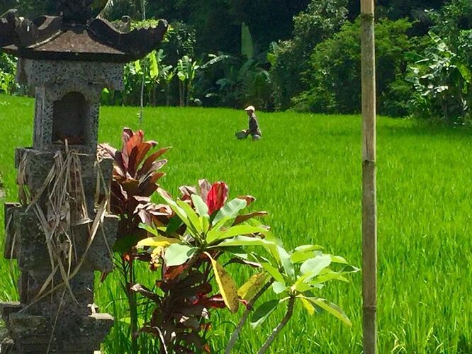 Re: séjours à Bali et réveil u volcan Agung - DomGigibali