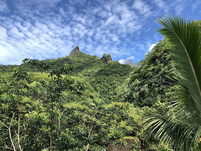 Re: Agence Easy Tahiti votre avis - Fanny-KURPINSKI