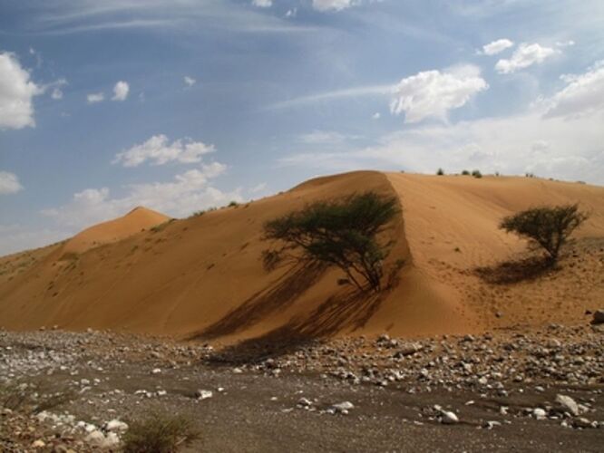 Re: Croisière en sandal sur le nil ou trecking dans le désert du sultannat d'Oman - marie_31