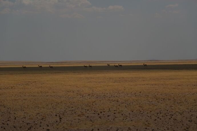 Re: Namibie - 15 jours en octobre 2018 - pascal41lc