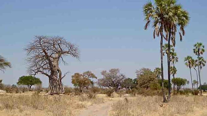 Re: Partir en Tanzanie Mai/Juin - puma