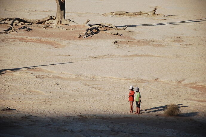 J14 - Dead vlei, Sossusvlei, Tsaris Mountains - llce