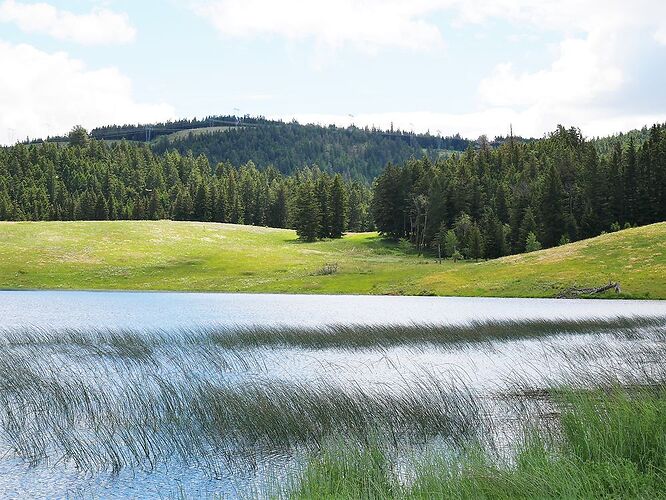 L'Ouest canadien à pleins poumons: épisode 2, l'Okanagan et la route vers la côté, via Whistler - fabienne65