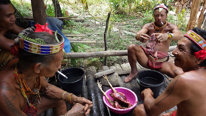 immersion Mentawai - chgut