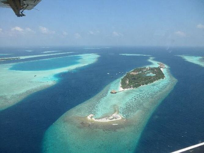 Re: Meilleure île aux Maldives pour faire du snorkeling depuis la plage - Philomaldives Guide Safaris