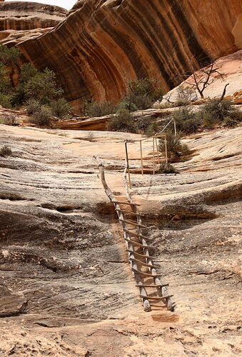 je dirai Natural Bridges - Hiacinthe