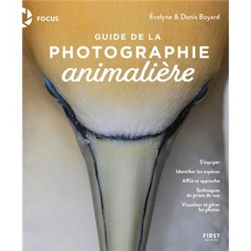 Un guide concernant la Photographie Animalière - puma