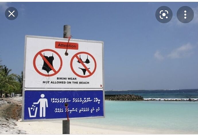 Re: 10 à 12 jours aux Maldives en amoureux - Marie Noëlle 87