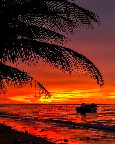 Sunset ou Sunrise aux Maldives - Philomaldives Ex guide Safaris