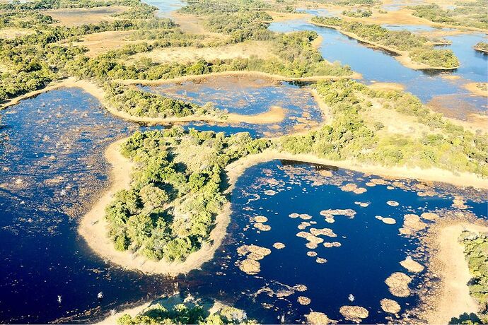 Re: Delta de l'Okavango - Luss93