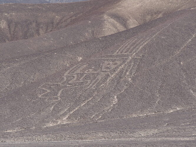 Lignes de Palpa au cours du circuit autour de Nazca