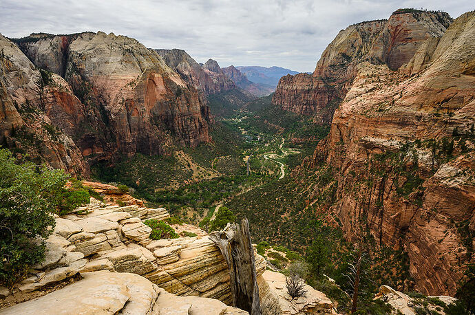 Samedi 13 août: Angels Landing - darth