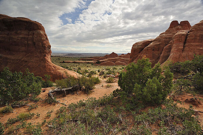 Lundi 3 août : Arches National Park - darth