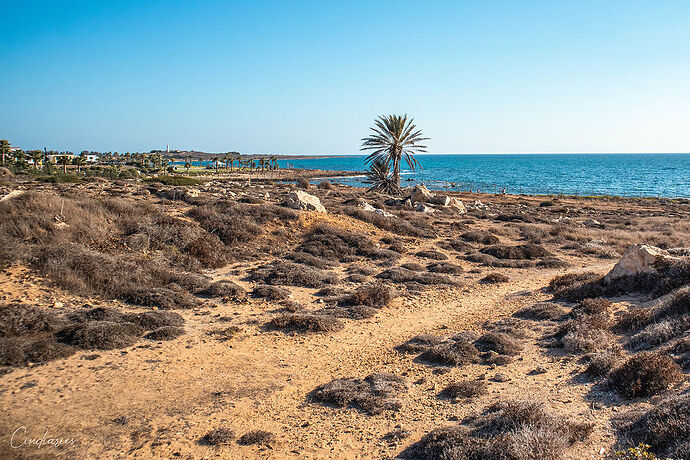 Une semaine à Chypre, l'île de l'amour  - Cindiaries