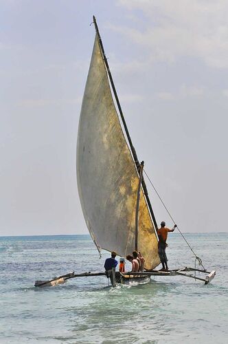Re: Zanzibar : sortir un peu des sentiers battus - Christo06