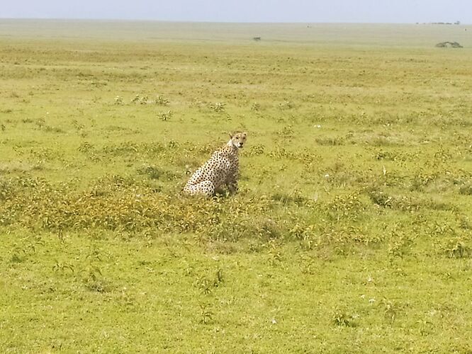 Super guide en Tanzanie - Aurelie-Ray