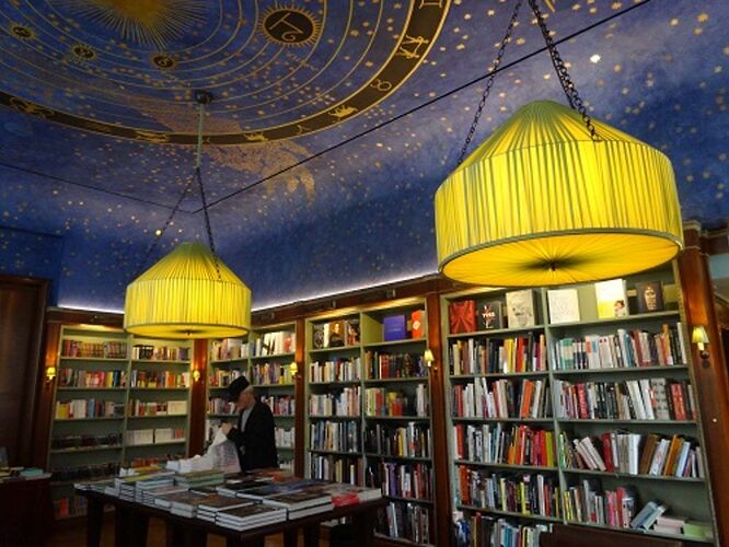 Albertine : la librairie française - sourisgrise