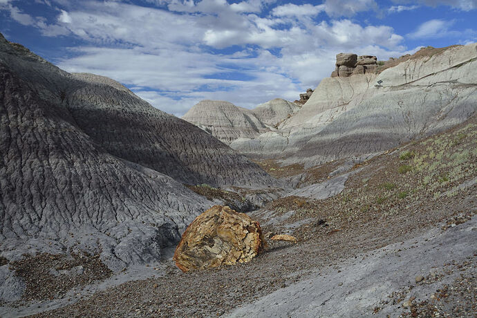 Dimanche 26 Juillet : Petrified Forest – Painted Desert NP - darth