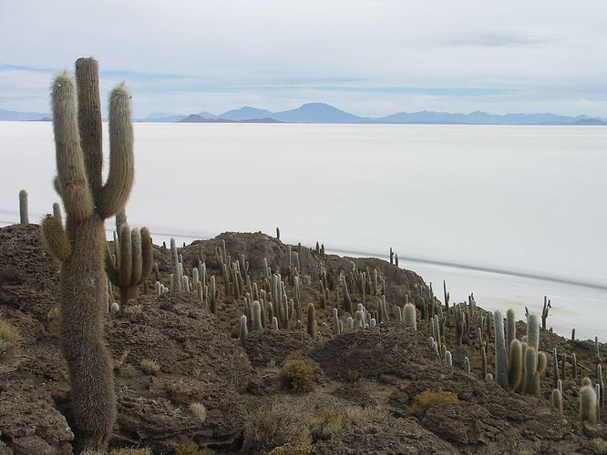 Re: 1 mois et demi Pérou - Bolivie - Chili - Ile de Pâques - Terre de Feu - yensabai Re: 1 mois et demi Pérou - Bolivie - Chili - Ile de Pâques - Terre de Feu - yensabai