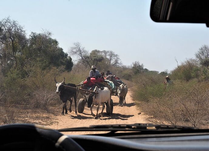 4 semai,es en 4x4 à Madagascar - PIHIEN