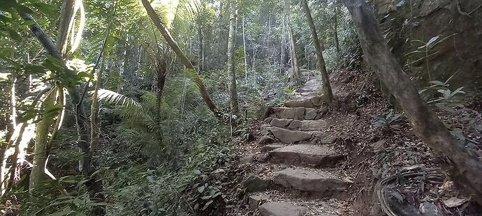 Voyage solo brésil - France-Rio