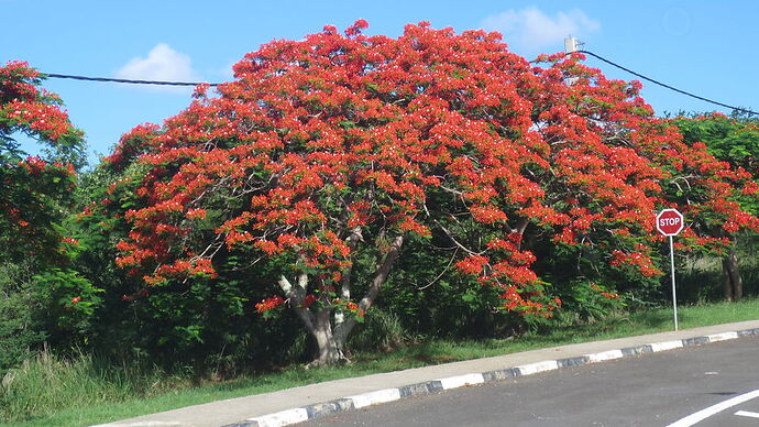 Re: Morne octobre ou novembre  - ckosak