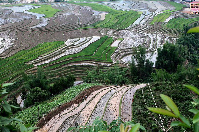 Re: Dernièes nouvelles de Sapa - Abalone_vn