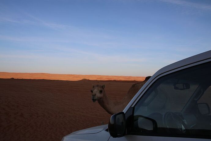 2 semaines de camping à Oman : des treks, des dunes et des wadis : Suite - Carines26