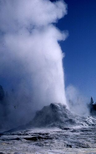 Re: Voyages entre l'Alberta et Yellowstone - yensabai