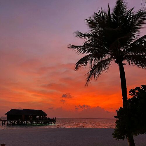 Maldives Sunset  - Phil Ô Maldives Guide Safaris