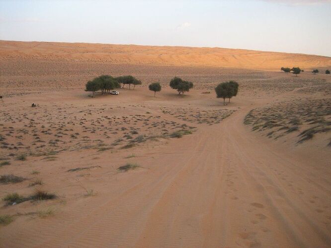 Bivouac Wahiba Sands - Gilles