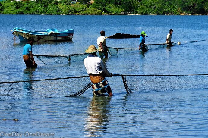 Visiter le Sri Lanka au mois d'août - MAGGYWEB Visiter le Sri Lanka au mois d'août - MAGGYWEB