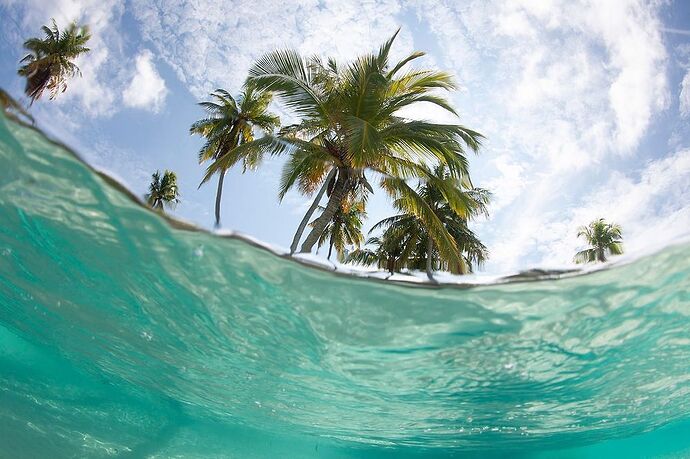 Météo du 06 Mai 2021 - Phil Ô Maldives Guide Safaris