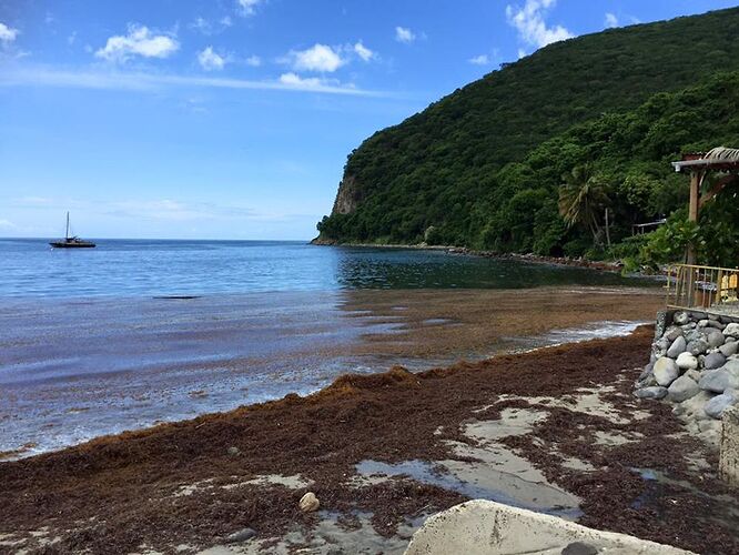 basse terre aussi - Christian Klipfel