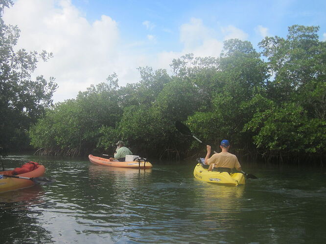 Re: Miami : visite de Key West et les Everglades - Fra67