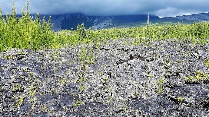 L'île INTENSE : Trek a l'île de la Réunion - Caro-Rando L'île INTENSE : Trek a l'île de la Réunion - Caro-Rando