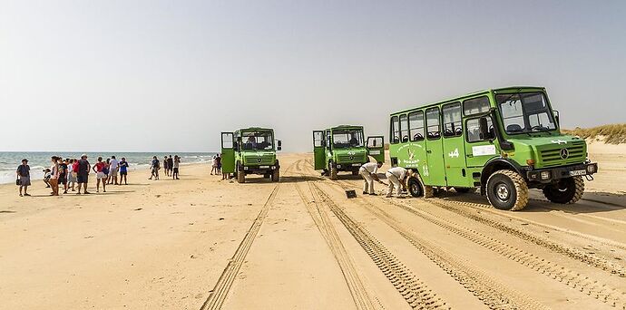 Donana et SanLucar,  l'ouest et l'est du fleuve - viajecuba