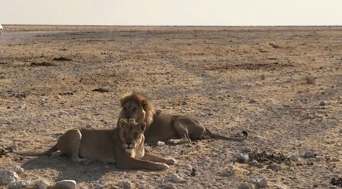 Re: Avis sur Mlima Safaris & Tours Namibie - Deplart-F