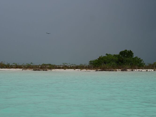 Re: Retour de 3 semaines au Yucatán au Mexique - Zoune