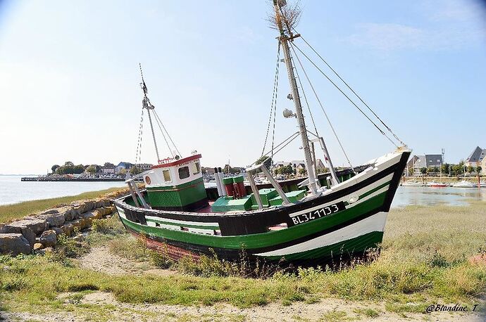 Re: Côte d'albâtre et baie de Somme. - Le-Croquant