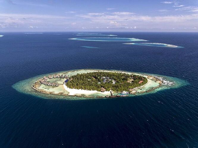 hôtel ellaidhoo - Ari Atoll Nord  - Phil Ô Maldives Guide Safaris