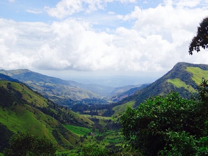 2 semaines dans l'Eje cafetero: FIlandia, Salento et le parc de la vallée de Cocora - Follow the lama