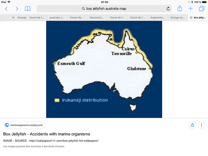 Re: Choix du roadtrip de 3 semaines pour Novembre 2019 en Australie - PATOUTAILLE