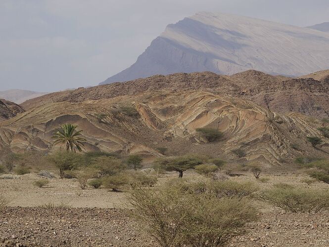 Re: De retour de deux semaines à Oman avec 3 jeunes enfants en camping sauvage - jmayo