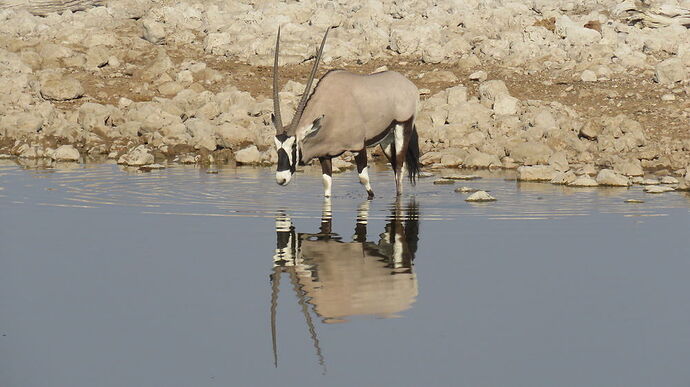 Re: NAMBOTSVIC Namibie- Botswana- Victoria Falls, 3 semaines magiques - PATOUTAILLE