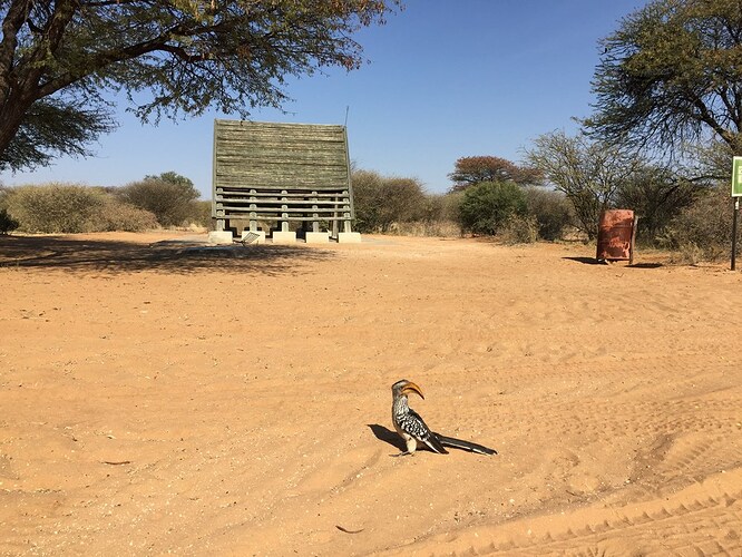 Voyage Namibie et Botswana 4 semaines sans réservations - Morchella