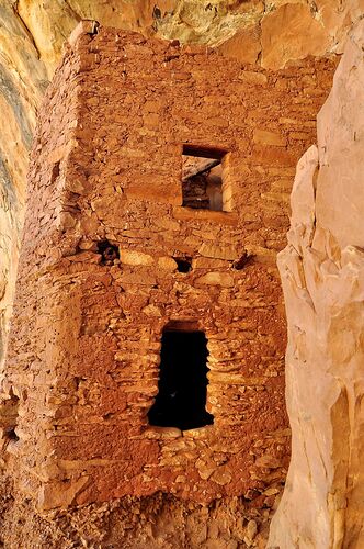 Recapture Pocket, parc de Hovenweep et ruines de Tower House - chellmi