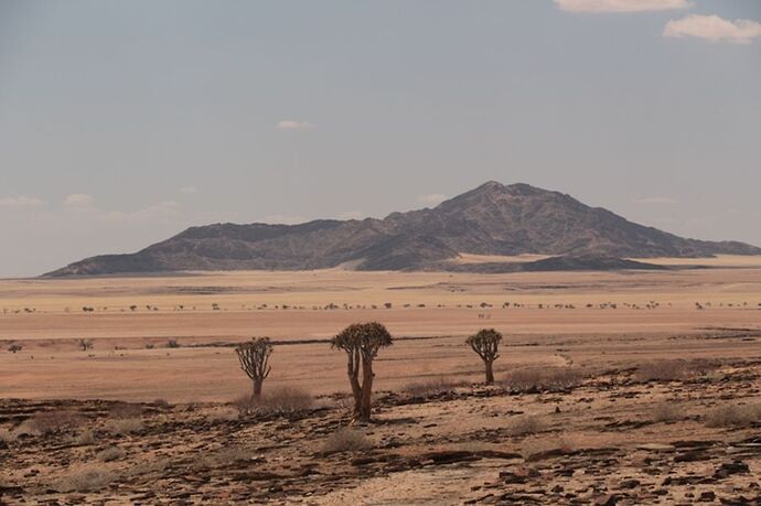 Re: Namibie - 15 jours en octobre 2018 - pascal41lc