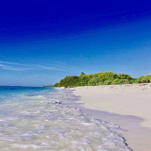 Re: Très grosse peur météo semaine prochaine aux Maldives - Philomaldives Guide Safaris Re: Très grosse peur météo semaine prochaine aux Maldives - Philomaldives Guide Safaris